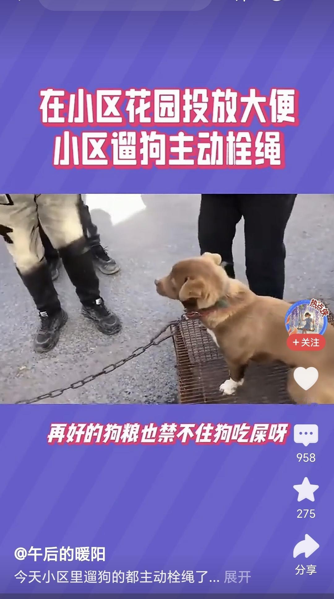 果然还是有高手啊，一招解决了困扰大家很久的小区遛狗不牵绳的问题。即不违法，也不