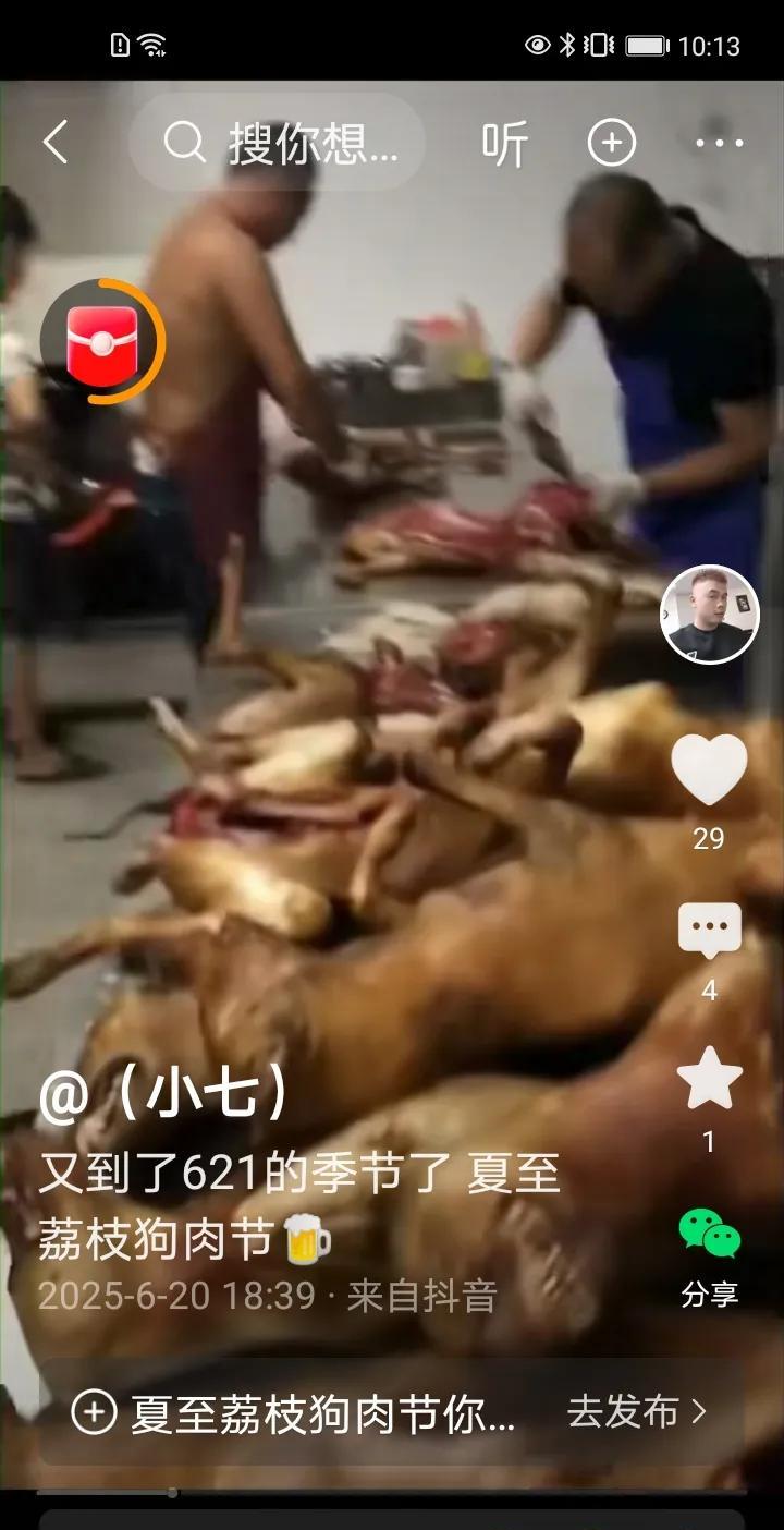 玉林的狗肉节又开幕了，爱狗人士抗议，又发视频又打标语，谴责杀狗，倡导人们抵制吃狗