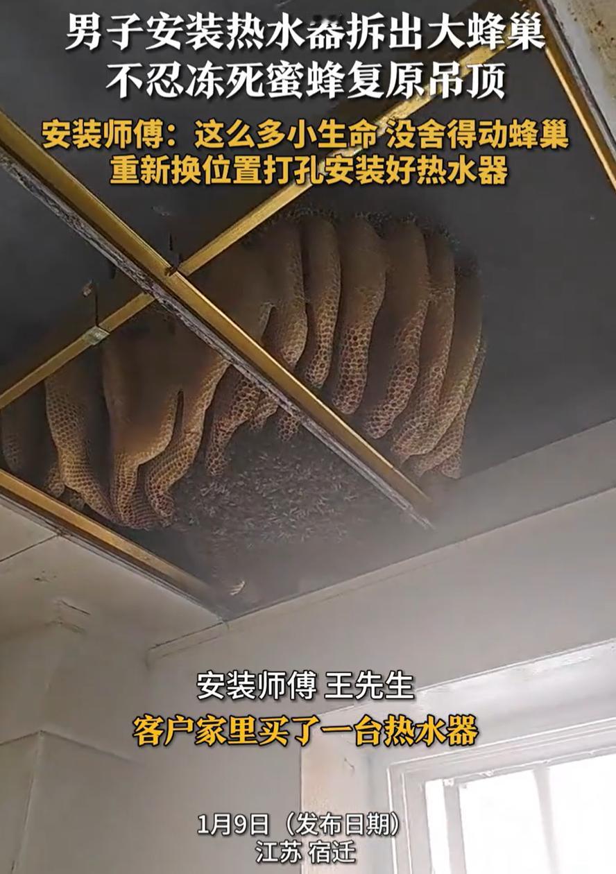 看的头皮发麻！江苏宿迁，一居民家中要安装热水器，可安装师傅拆开厨房吊顶后，却发现