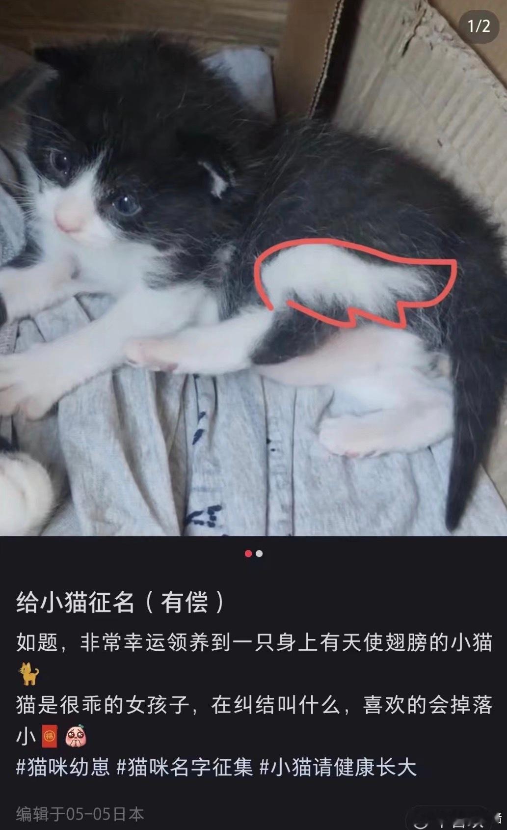 我笑得好难受