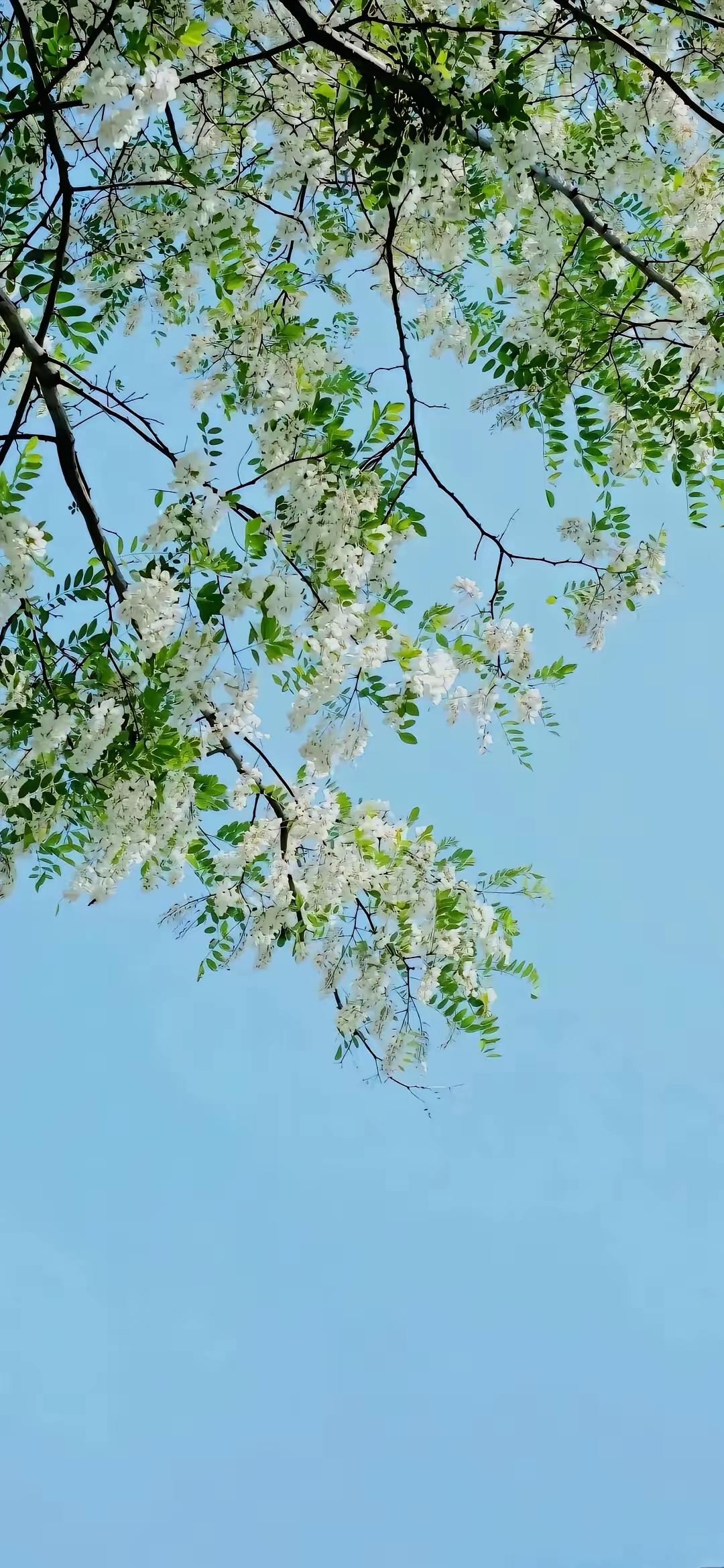 现实的一段话：“穷人在女人眼里，就是废物；女人在富人眼里，就是玩物；富人在权力面