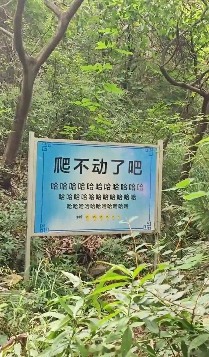 你爬过泰山吗？