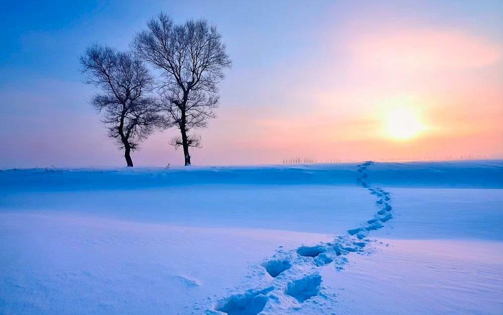 人最后都会朝着自己走去，不用人教，也不用文化和知识去引领，也不用多大一个理想。有