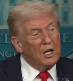 日本没加入，法国没加入，德国没加入，意大利没加入，英国没加入，印度，俄罗斯，中国