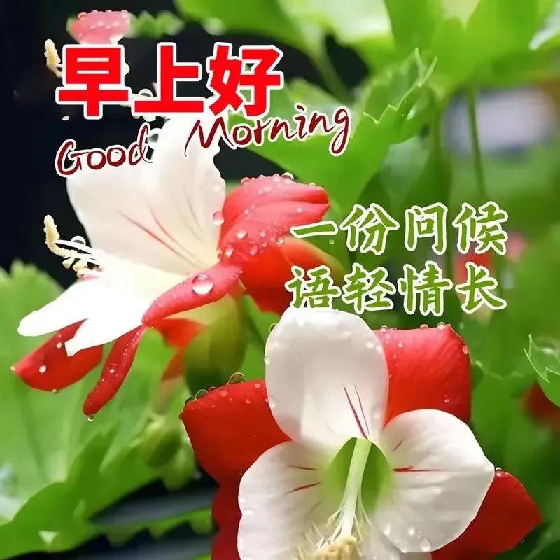 過去的時光可以回憶，真誠的友誼不能忘記，結善緣的人更要珍惜，願健康快樂順心