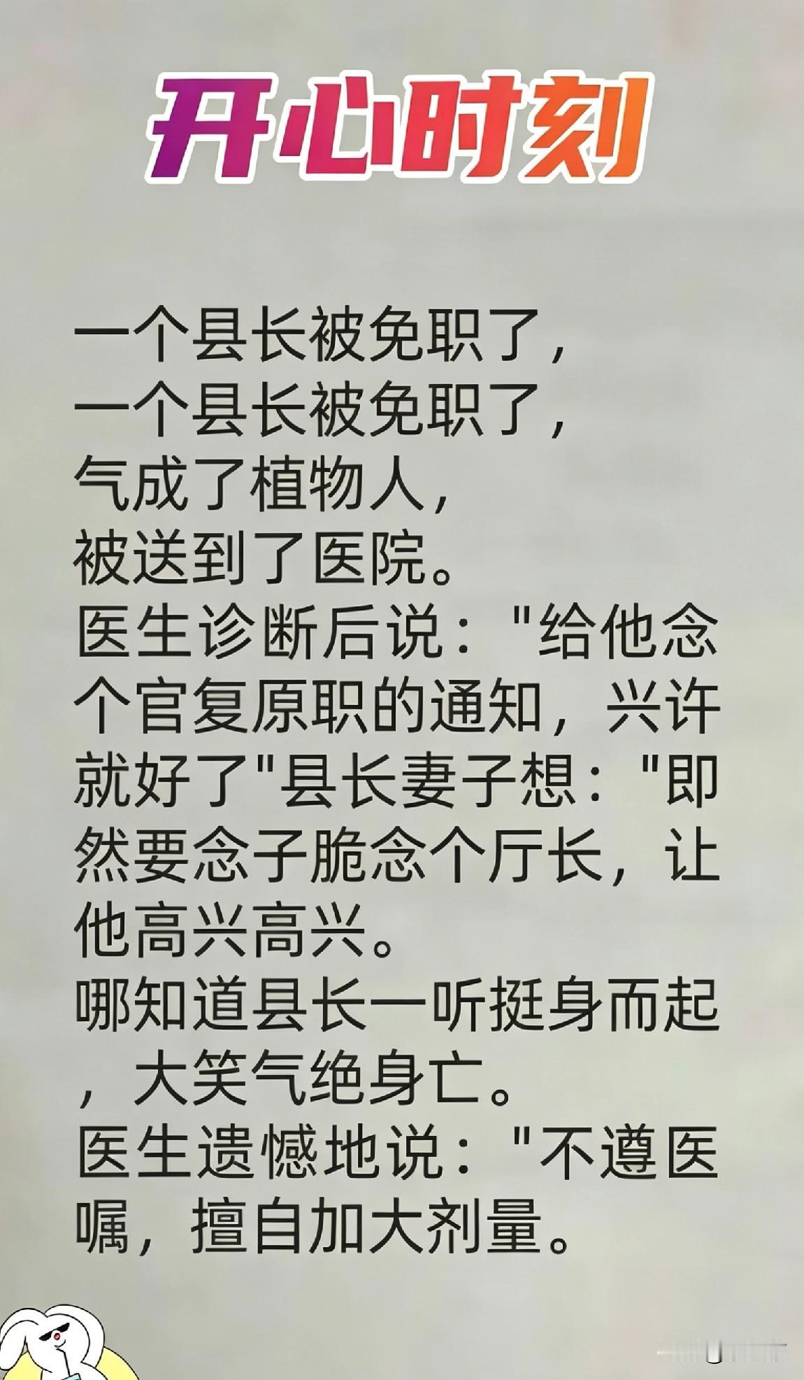 这几个小故事段子超级好笑，治愈小笑话大全！超级好笑的笑话生活笑话段子暖心治
