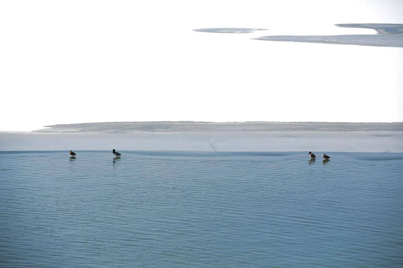 郑州航空管理学院拟改名为郑州航空航天大学，前程似锦，未来可期郑州航空管理学院