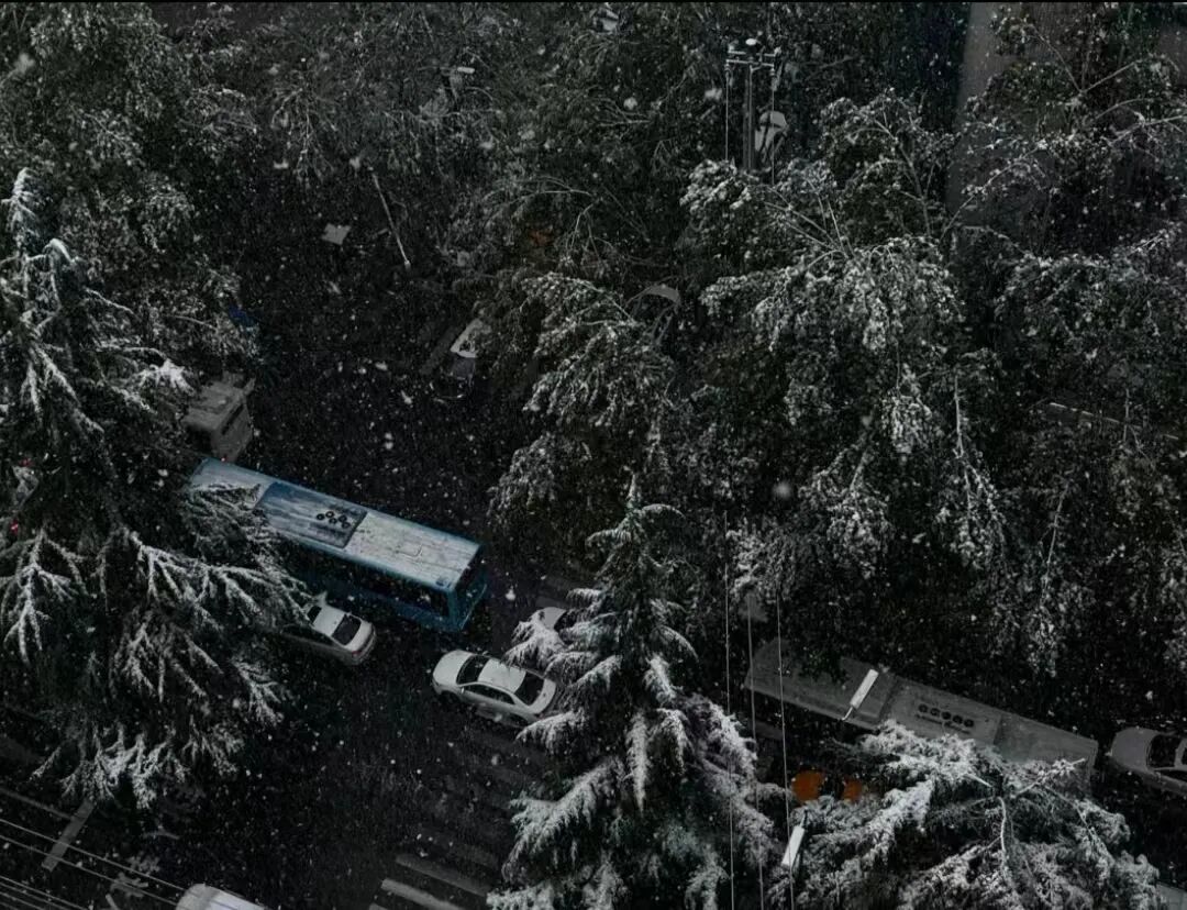 最低-16.9℃! 陕西雨雪降温今天开始! 小雪、雨夹雪! 局地浓雾!