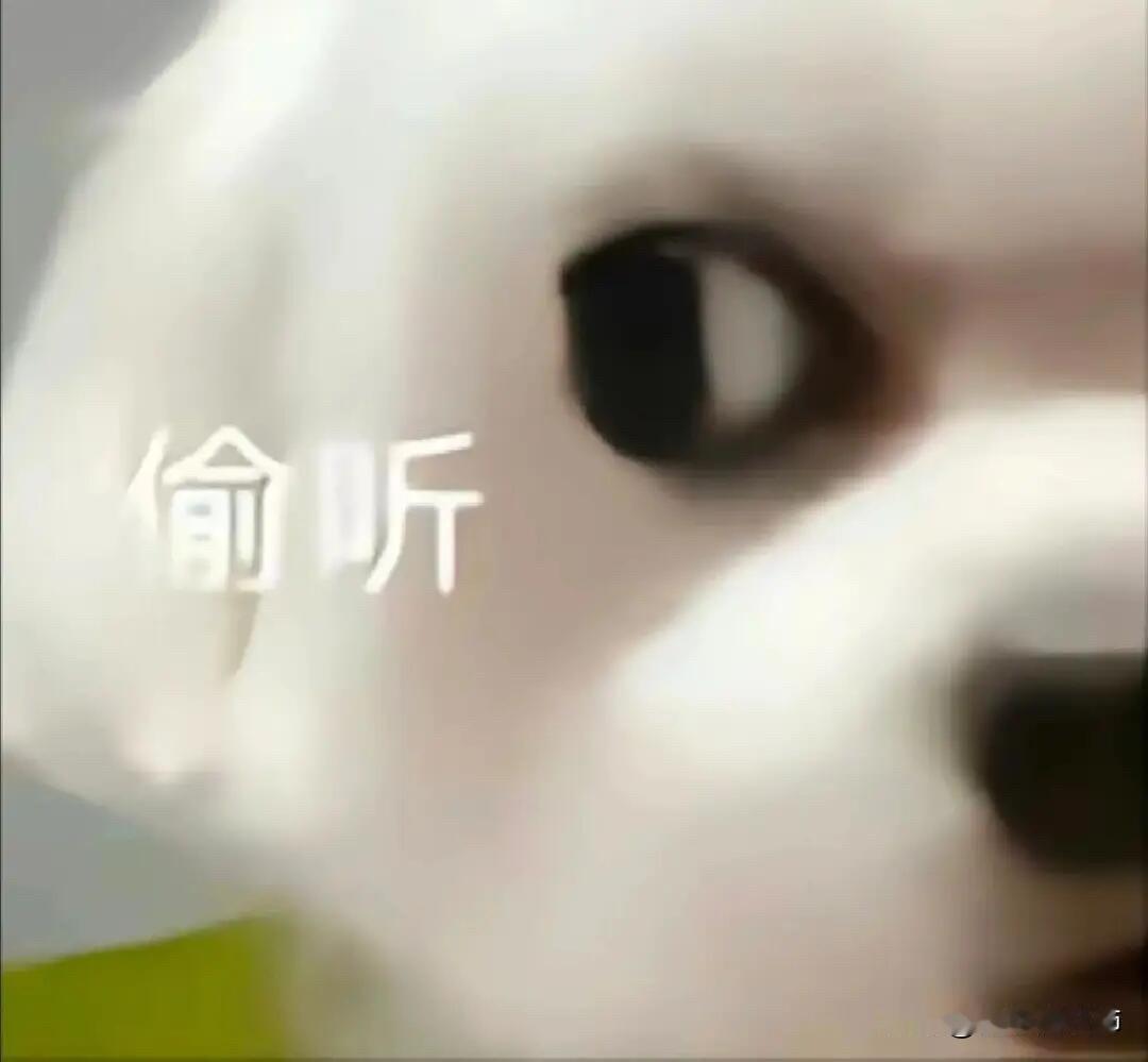 裸辞后，发现邻居也没去上班自从去年毕业后工作了两个月到九月份裸辞后，不社交不出