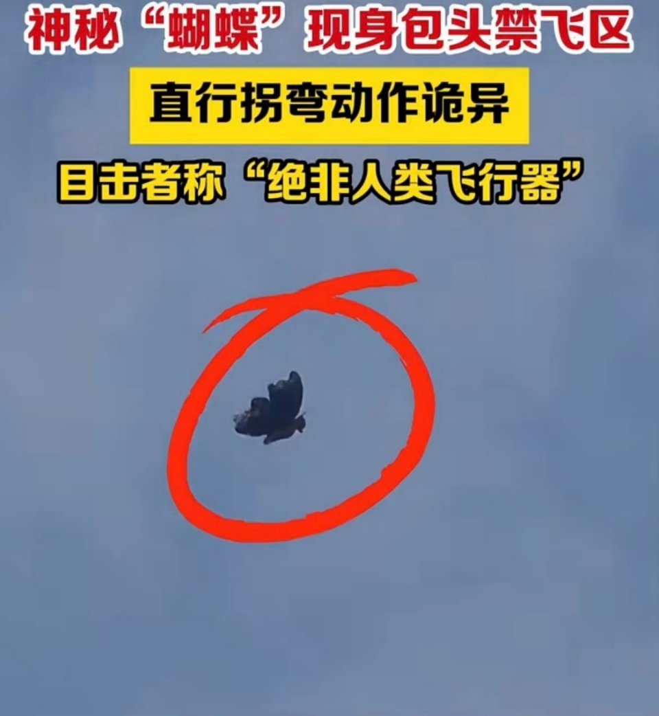 包头禁飞区现蝴蝶状飞行物哦？上个色看看？我记得以前还有飞棍传说，实际上就是虫子在