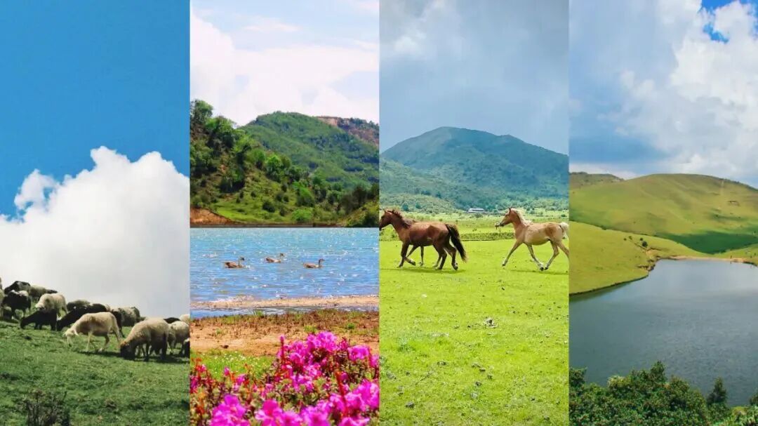 官方明确: 鸟吊山, 禁止游客进入