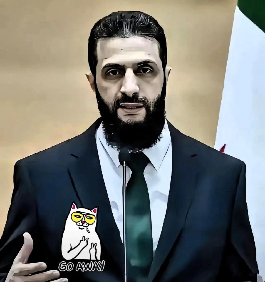 叙利亚传来新消息：2026年4月17日，新华社从大马士革甩出一条让全世界都坐