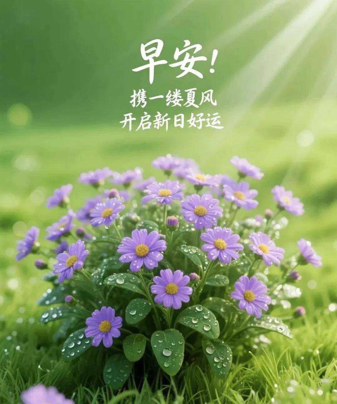 《人民日报》“真正成熟的人，对生活充满热爱，从不满腹牢骚、四处抱怨。当遇