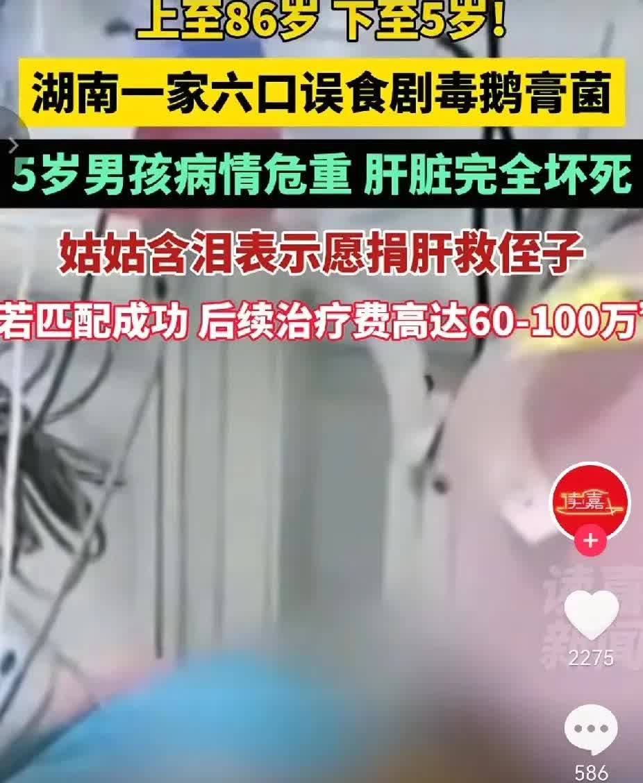 姑姑真是拿侄子当亲儿子对待！湖南一家六口吃了剧毒鹅膏菌，5岁男孩肝脏完全坏事。男