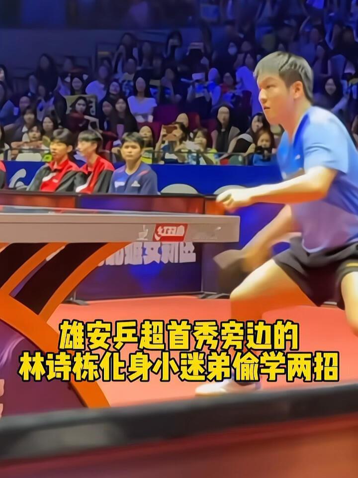 樊振东半年不打球，球迷越来越多，林诗栋也化身小球迷，变成樊振东的粉丝了，很认真的