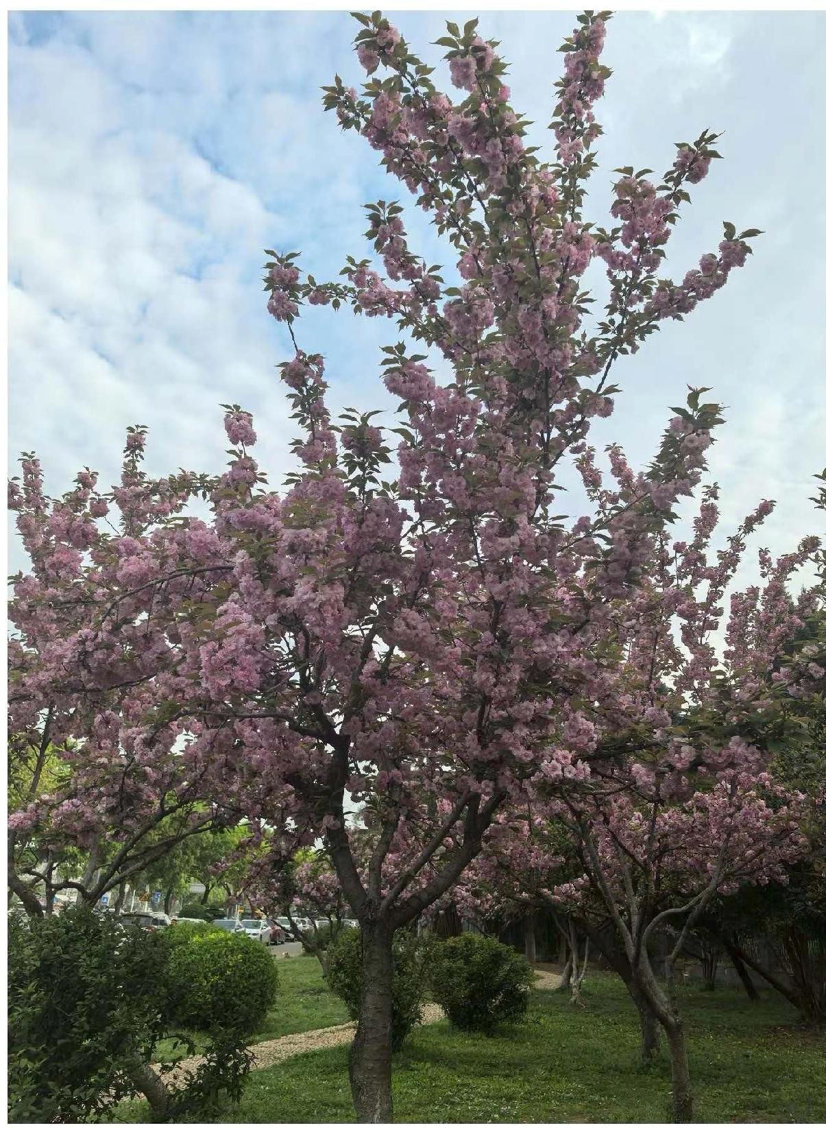 二八换子事件，许敏追查真相，六年来不但自媒体的主播一直都在说二八，而且一些大媒体