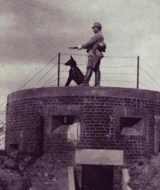 1942年，山东一个日本医生冒死救出26名八路军，全军感激涕零，罗荣桓却冷冷地说