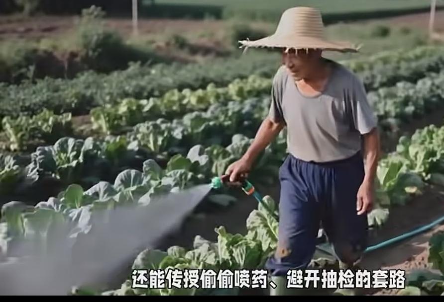 湖北天门毒蔬菜事件绝对不是单例。我们庞大的食药监局公务员都在干什么呢？是不是