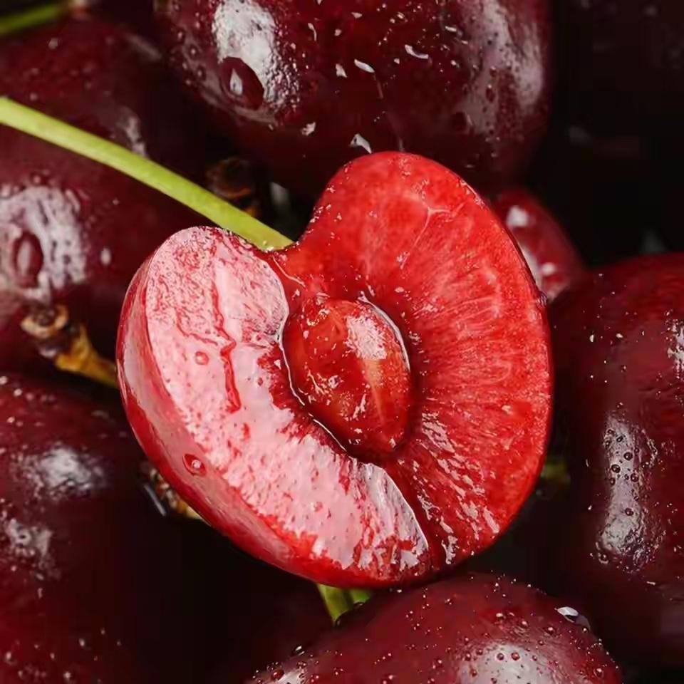 65万吨车厘子涌入中国，养肥智利！横跨2万公里保鲜靠加防腐剂？2026年第