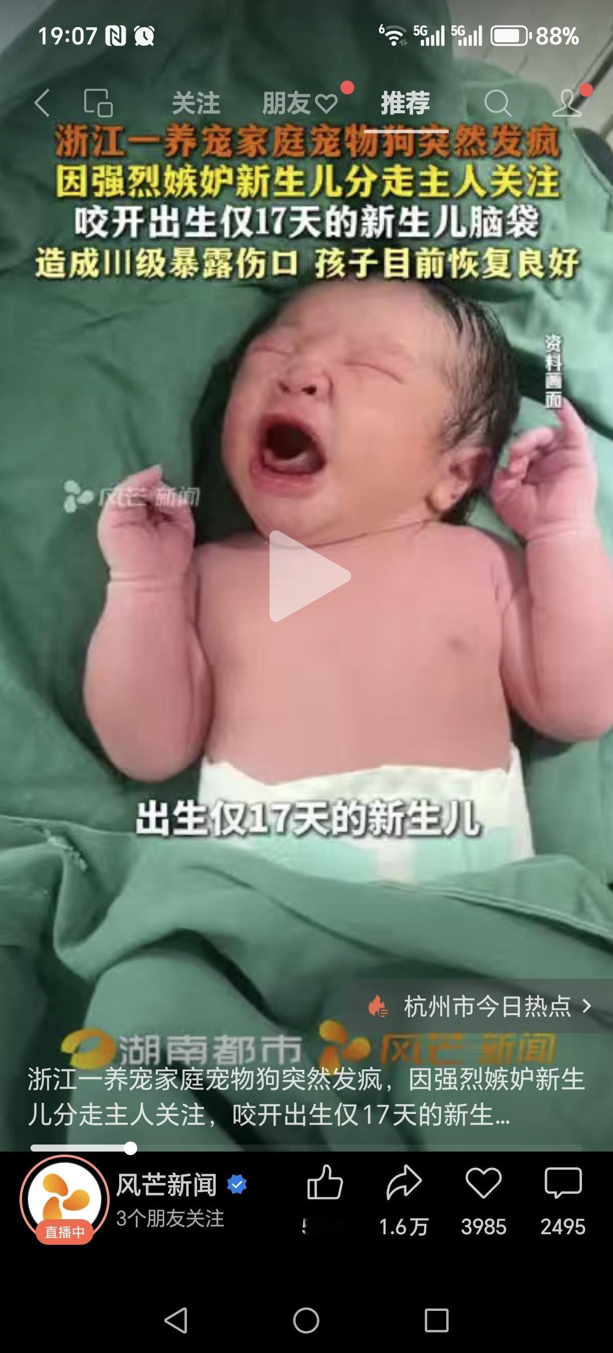 自家狗狗将17天新生儿头部咬伤！造成风险最高的Ⅲ级狂犬病暴露！浙江杭州发生