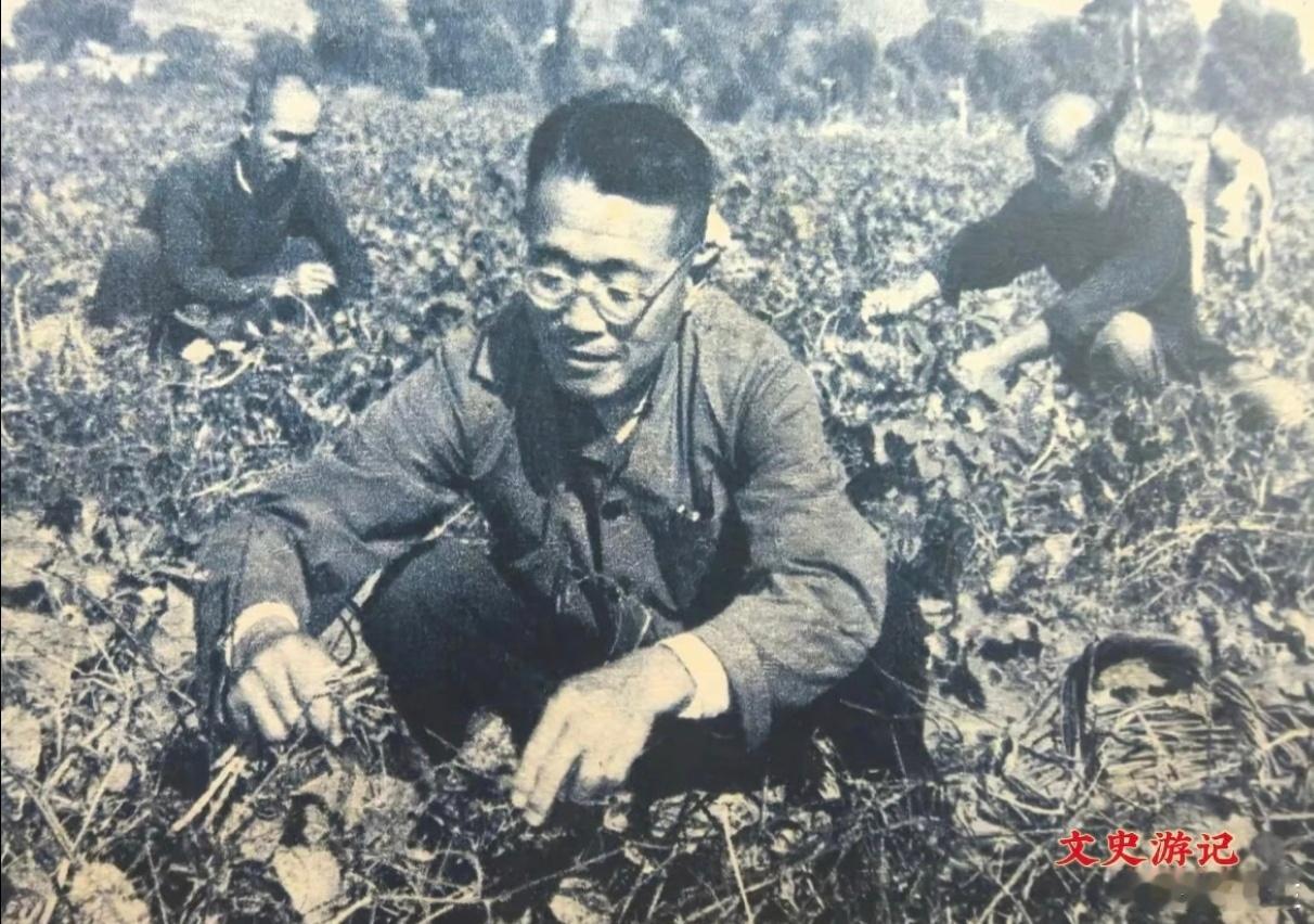 50年代，杜聿明在北京功德林劳作时的照片，当时他的身体状况其实并不理想，患有严重