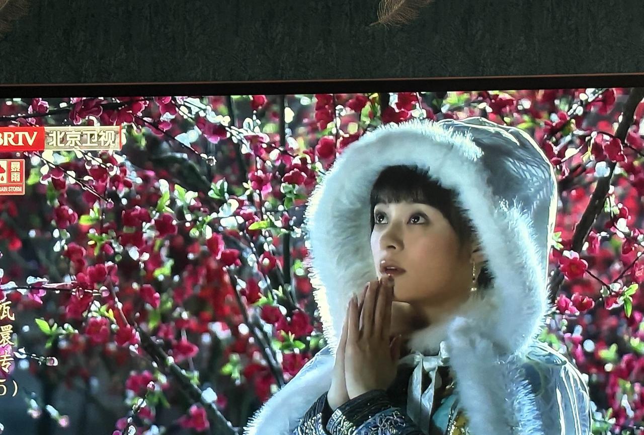 哈哈，北京卫视下午重播的电视剧《甄嬛传》，里面的余答应回归了，我们又可以看到剧情