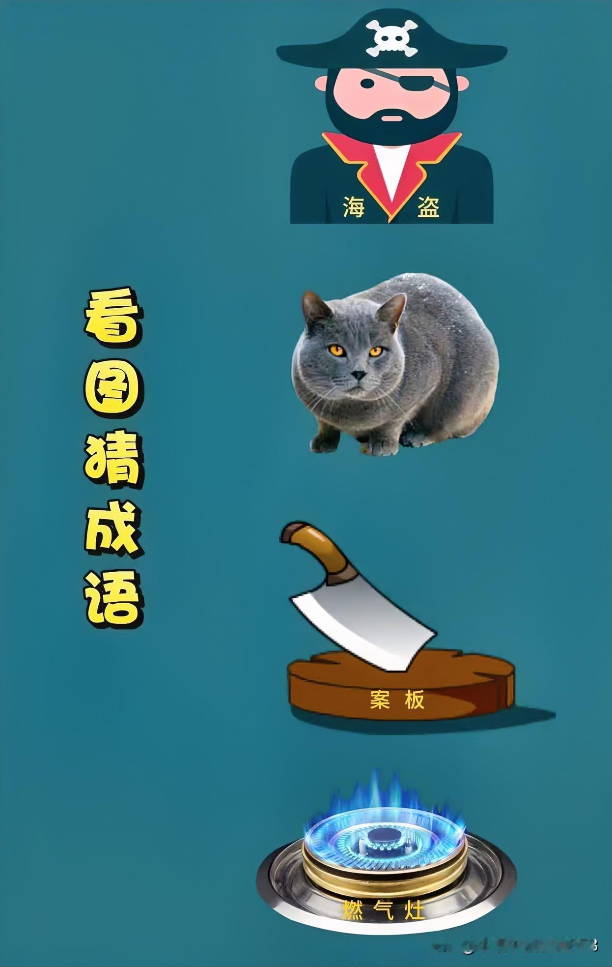 海盗图猜成语，猫坐案板旁看图猜成语海盗一猫咪一案板一燃气灶