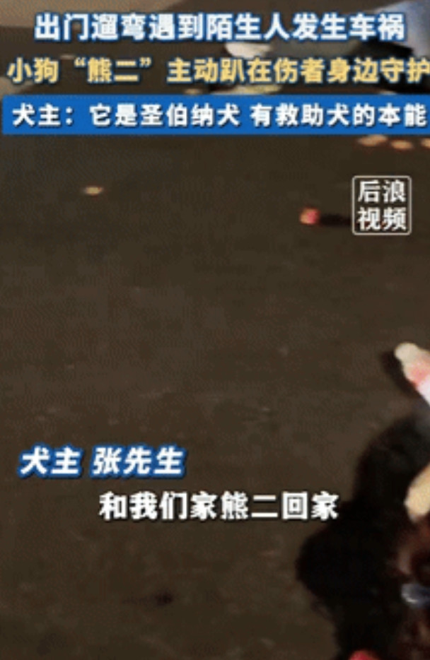 “感动坏了！”黑龙江一男子带狗出门遛弯时，遇到2名女生发生车祸，男子见状急忙拨打