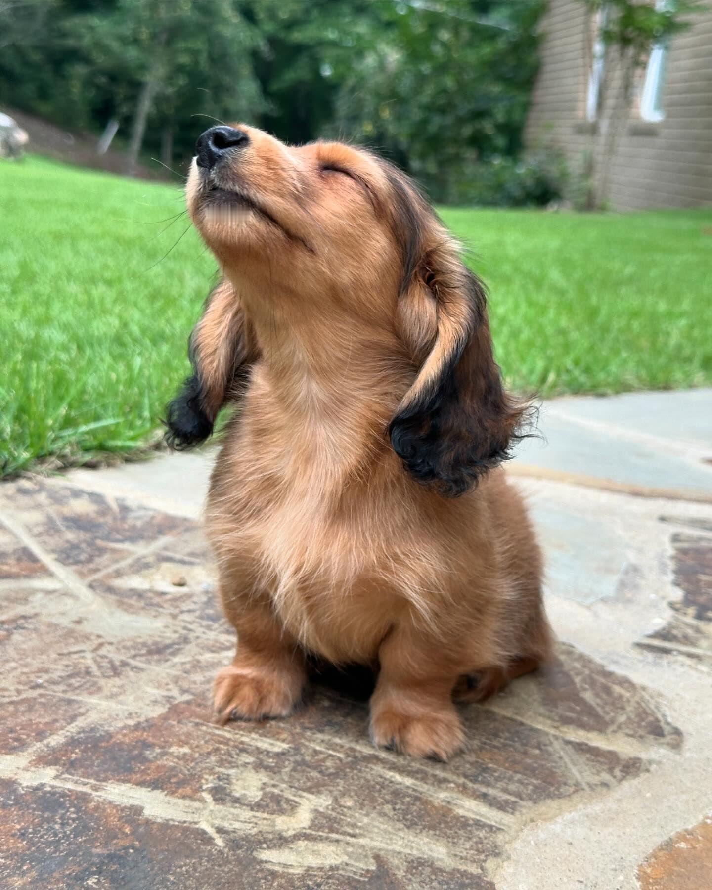 体育老师夸我跑步很认真！