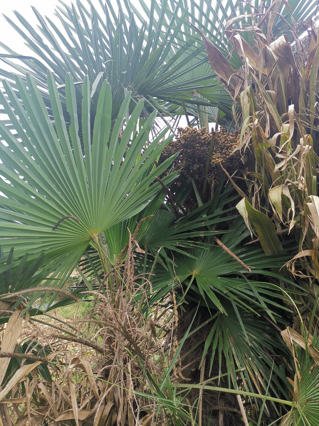 公司行政部发通知：“为提升形象，即日起所有员工须佩戴工牌。”新来的实习生照做了，