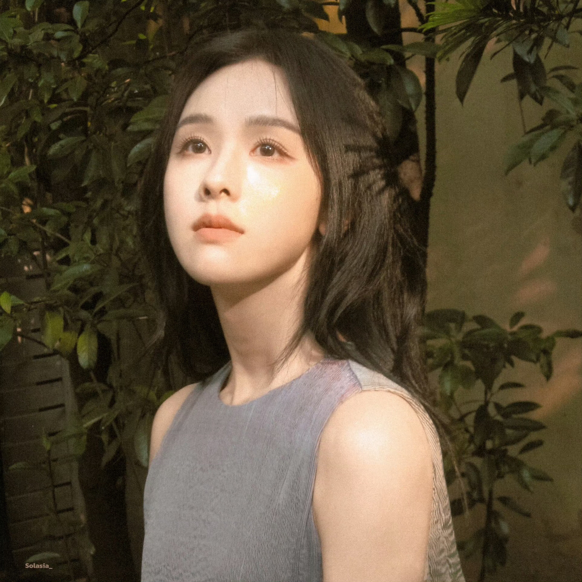 【陈都灵】🍃cr🧣Solasia