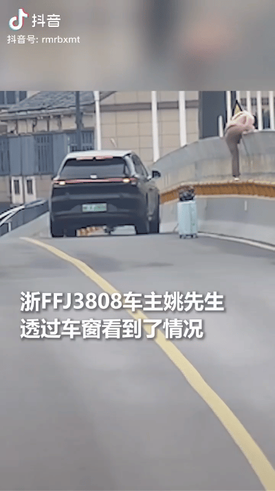 上人民日报了，浙江姚先生开车经过大桥时，看到一位女子扔下行李箱，爬上栏杆。
