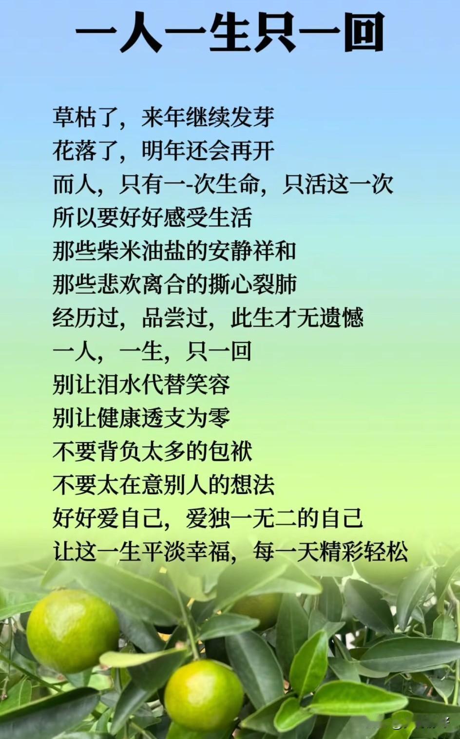 一人，一生，只一回。人生没有彩排，亦无重来，这短暂的一生，是属于自己的独家记忆。