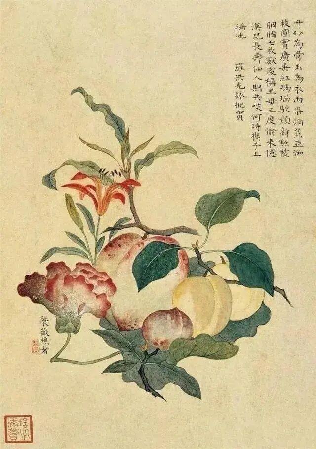 陈明自《花果册》欣赏绘画国画艺术