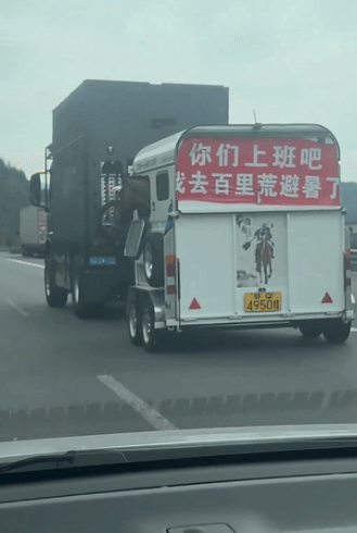 “别再说自己是牛马了！”一网友在高速上遇到一个拖挂，以为是房车，结果拉进了一看
