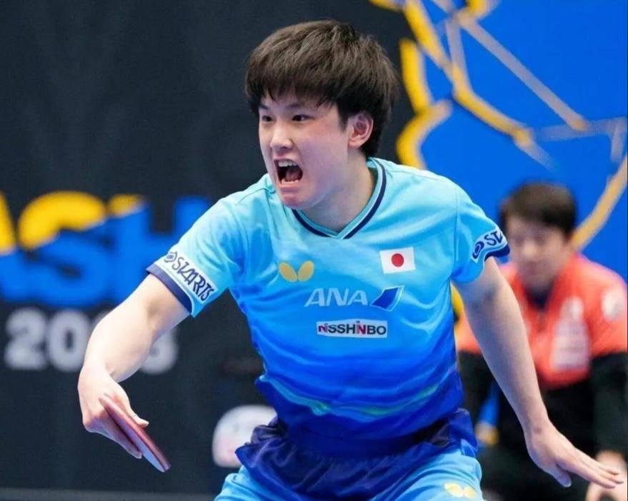 太棒了！张本智和该头疼了，明天亚运会开打，日本队突然折损一大将！这次亚运会，