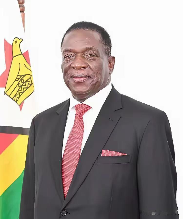 突发炸锅！津巴布韦急刹车，一纸锂矿出口禁令，直接掐住中国新能源的“命门”！没有缓