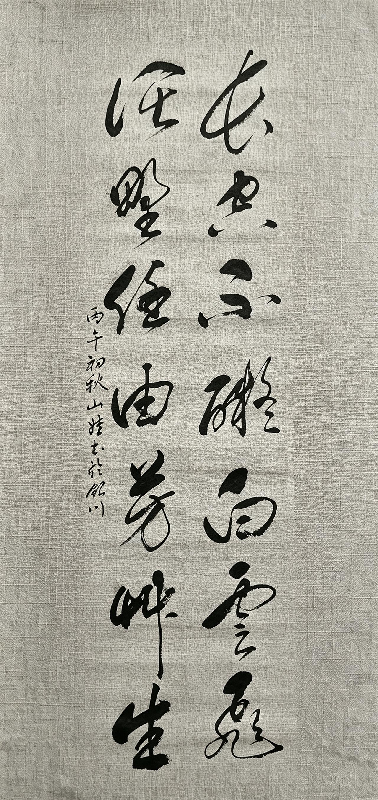 这幅草书对联“长空不碍白云飞，阔野任由芳草生”，越看越有味道。笔法娴熟，收放自如
