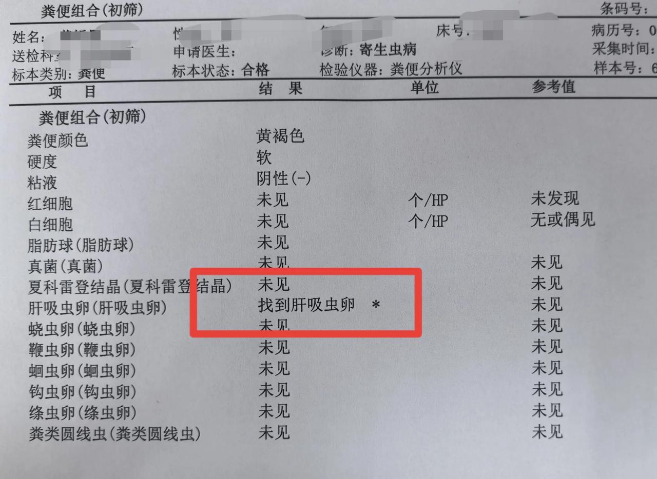 发烧皮疹肝脾大？辗转多院查不出！最后真相让所有家长后怕！一名初中生，不明原因