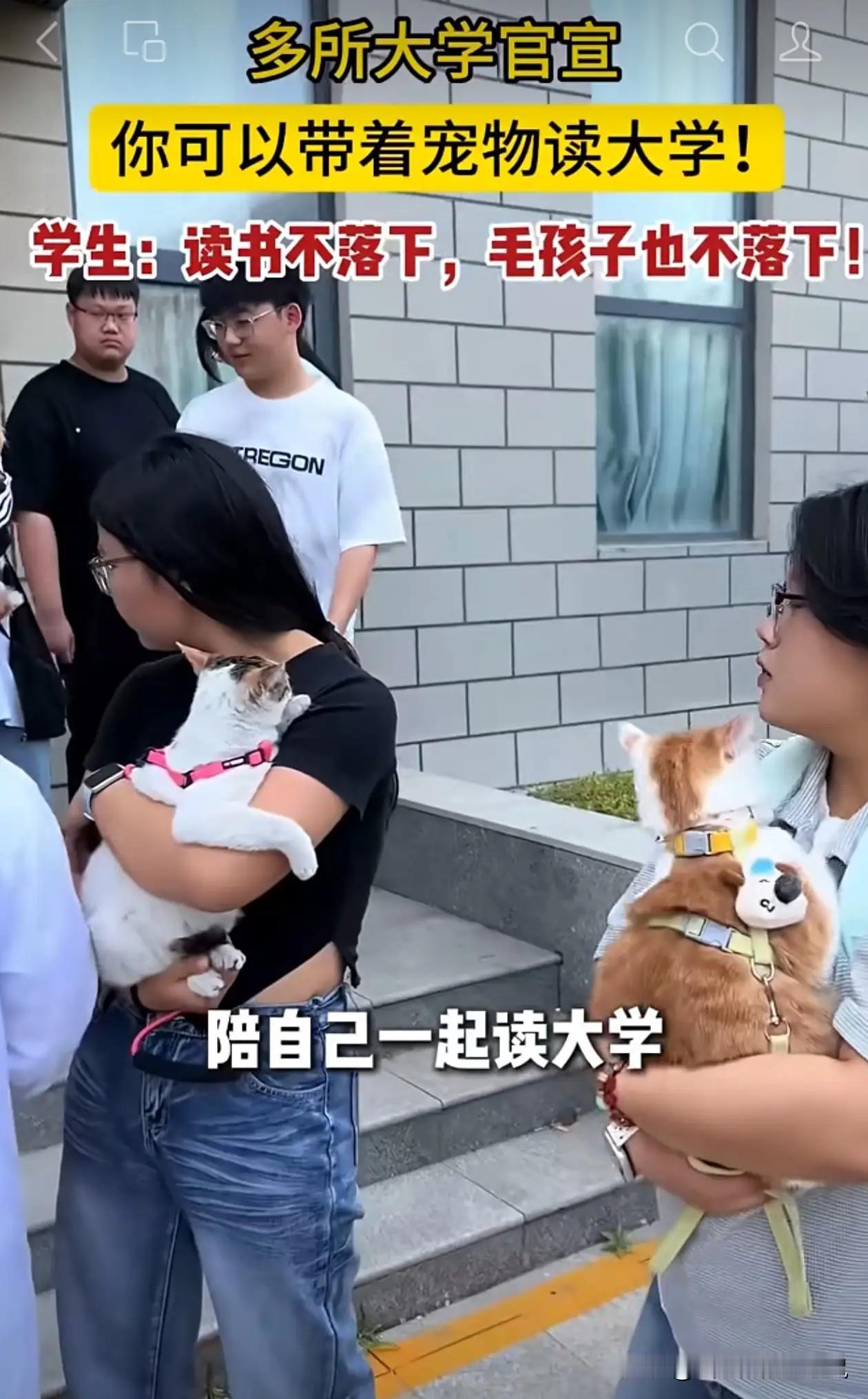 到底是学校还是宠物市场？一边上大学可以一边养宠物？近期银川科技学院、昆明