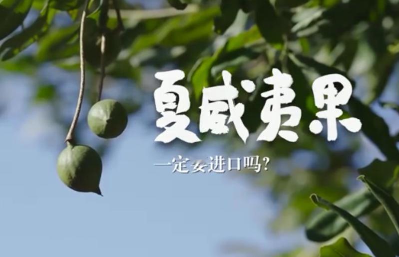 你以为的进口货，其实是“国货之光”，可能你家桌上就有你是否也以为，牛油果来自