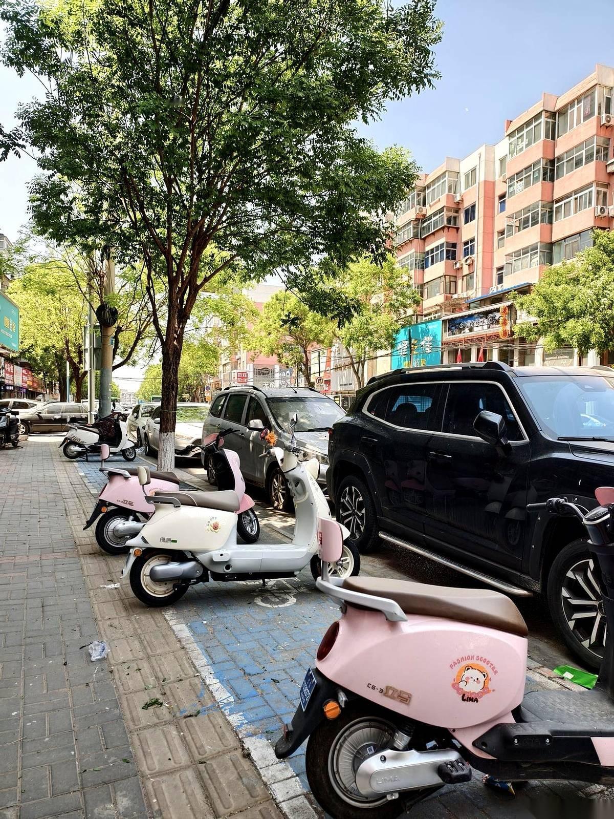 锦州街头，突然多了一片扎眼的蓝色。哈啰的租车业务铺过来了，一个月租金不到一百块