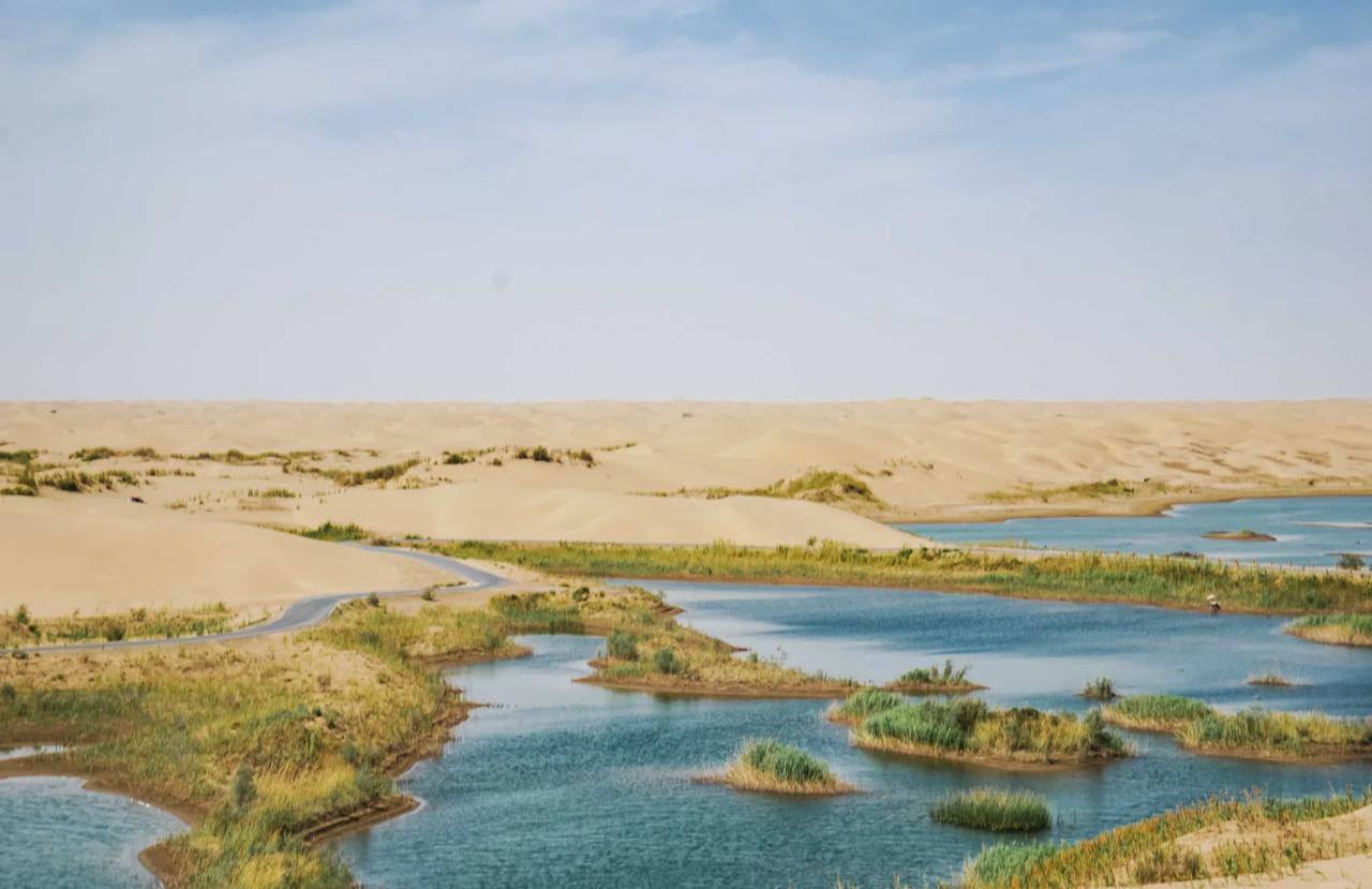 [点赞]对付沙漠，我们以前的路子都是硬刚，种树，再种树。现在，中国科学院的玩法