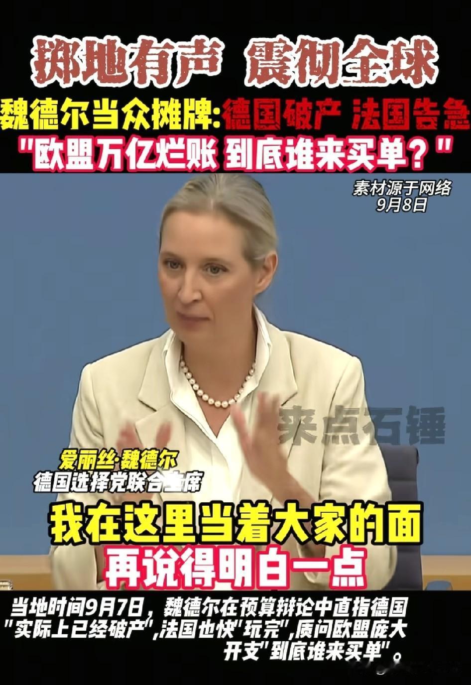 魏德尔说德国已经没钱了。德国是欧盟的经济支撑国，如果德国都没钱了那其他欧盟国家也