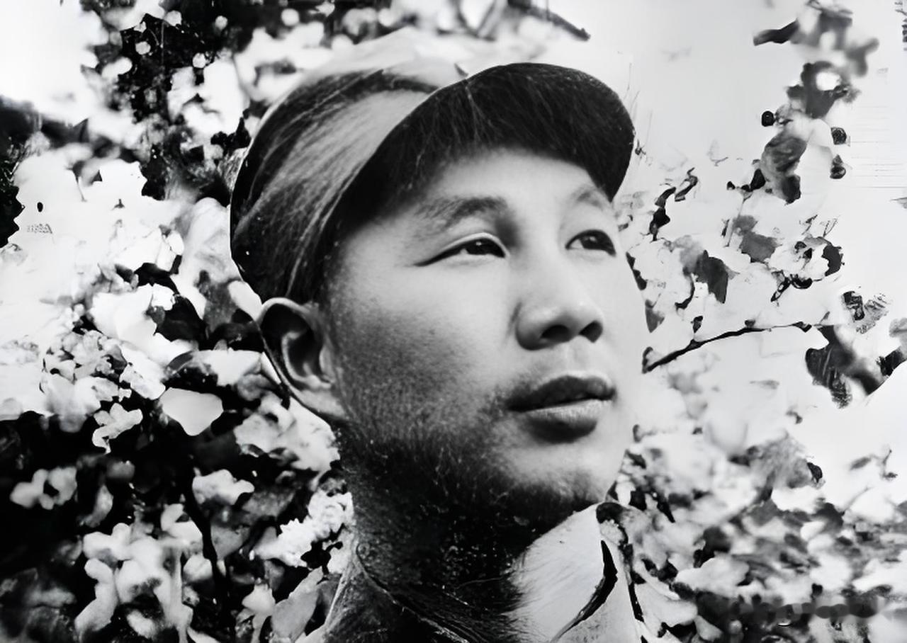 1986年，湖南农民张德仁前往北京，要见杨成武上将，警卫员愣住了：“张德仁同志