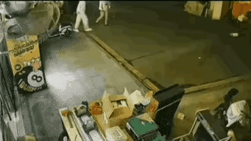 美女：“小样，敢来咬本姑娘，本姑娘一招泰山压顶，能把你屎都压出来，看你下次还敢不