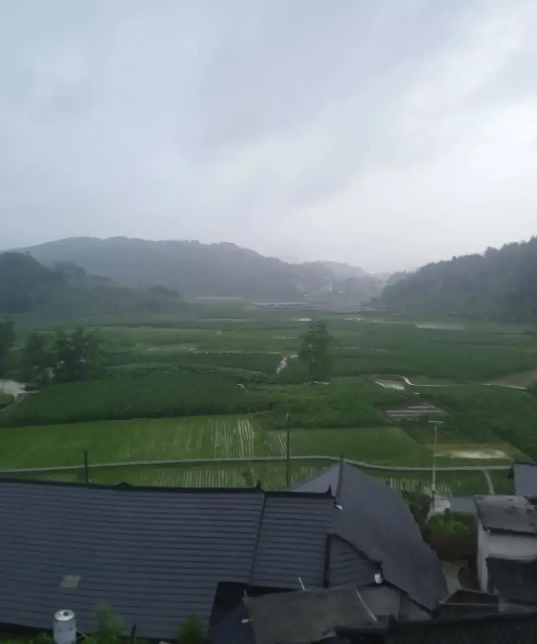 有些眼泪看似轻，落下来却能把人心砸出回响。窗外的初夏雨丝细密，轻轻敲着玻璃，