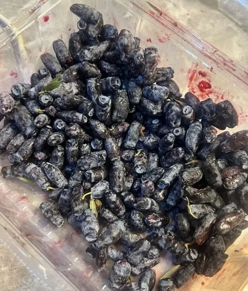 东北的特色美食，太好吃了，有认识的吗？
