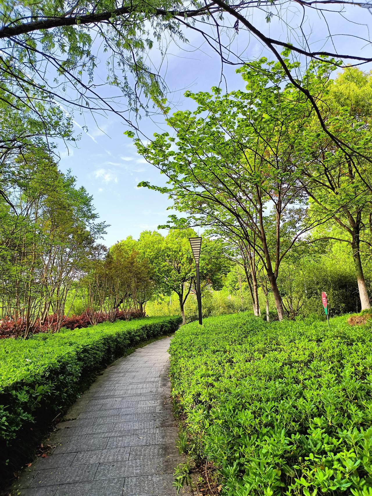兴趣盎然为生命注入活力人生如一场漫长的跋涉，一路有风霜雨雪，也有繁花似锦，