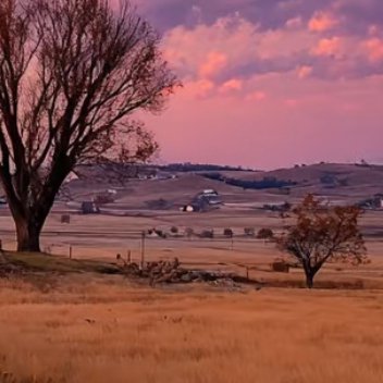 每日一善每日一善阳光信用只有品味了痛苦，才能珍视曾经忽略的快乐；只